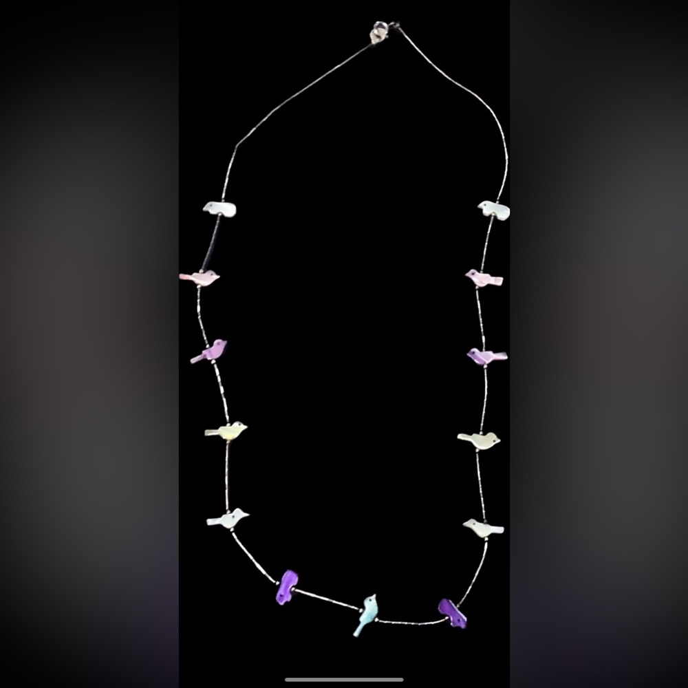 Zuni Liquid Silver and Fetish Necklace
